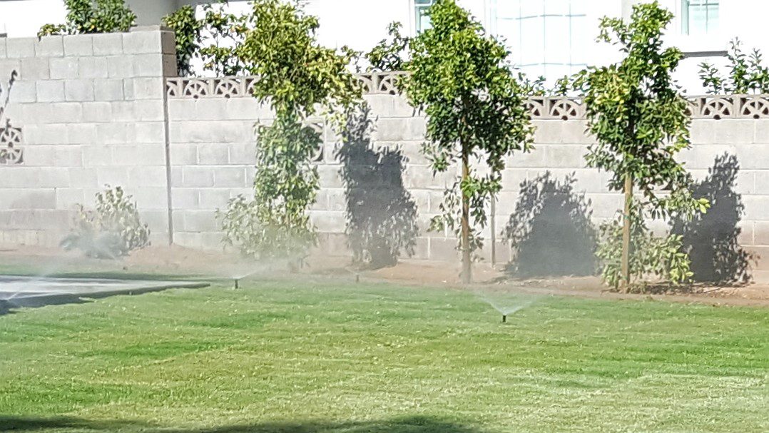 Sprinkler System Installation Service – Southwest Lawn Sprinkling Specialists in Phoenix, Arizona Sprinkler System Installation Service - Southwest Lawn Sprinkling Specialists in Phoenix, Arizona